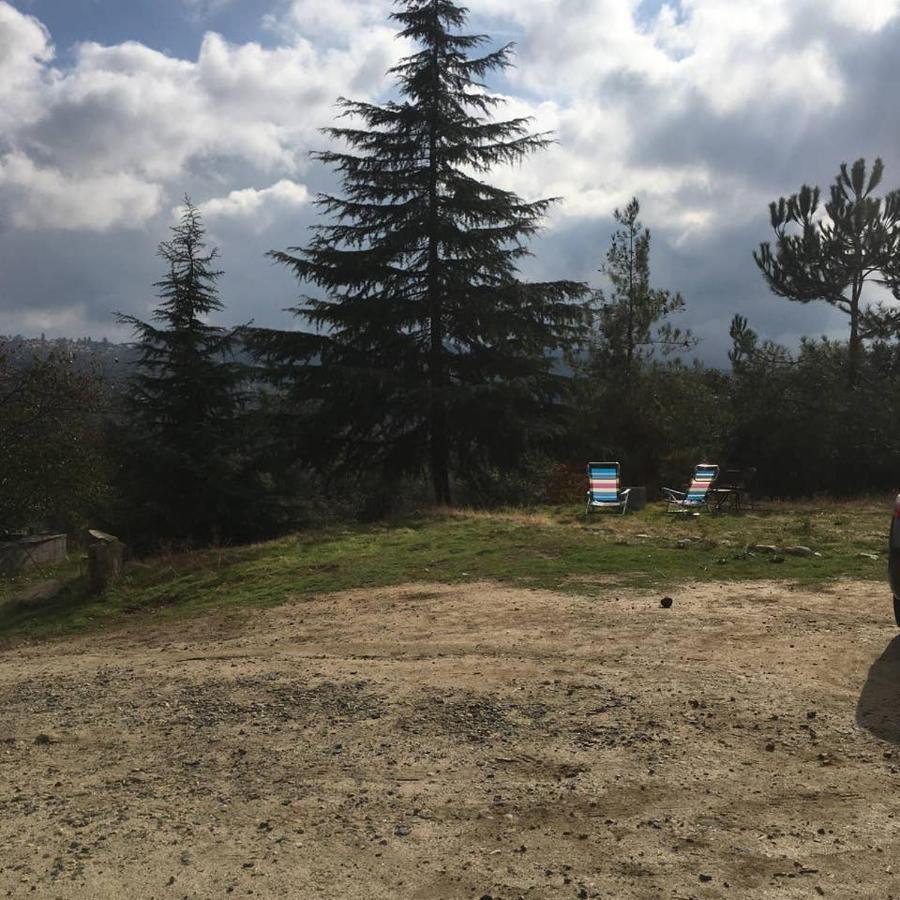 Sequoia Forest Retreat Badger エクステリア 写真